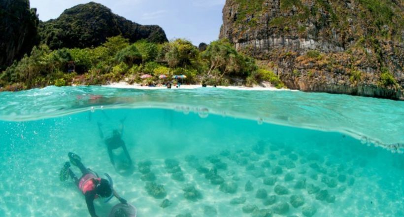Таїланд зібрався відновлювати корали суперклеєм