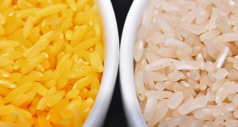 Золотий рис: для чого генетики вивели незвичайний рис, і чому проект провалився