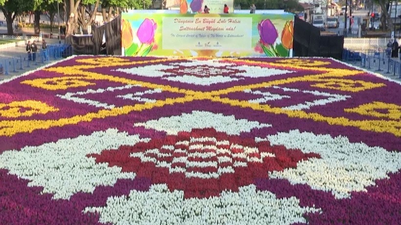 Відео: У Стамбулі створили найбільший килим з квітів на честь фестивалю тюльпанів