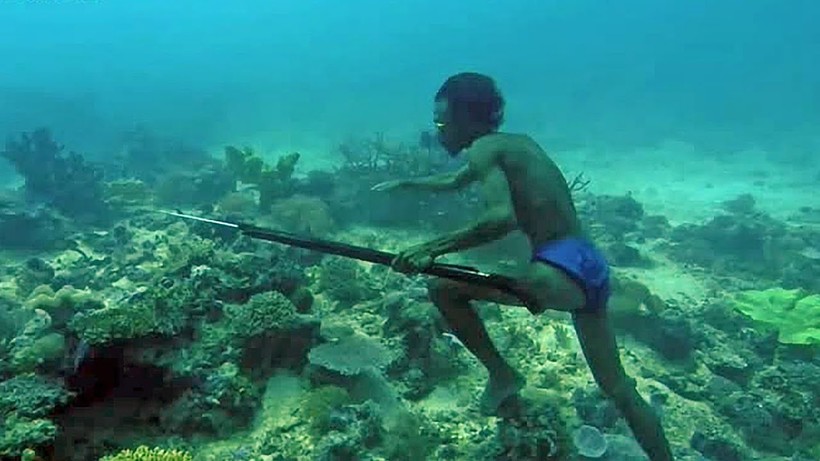 Відео: Люди, які живуть у воді, і ще 4 історії про самому незвичайному образі життя
