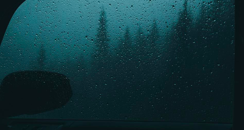 Похмурі, атмосферні і таємничі фото лісів від Ділана Ферст