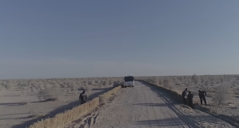 Відео: В Узбекистані почали боротися з наслідками зникнення Аральського моря