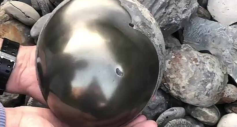 Студент знайшов на пляжі блискучий куля з викопних молюсків віком 185 млн років