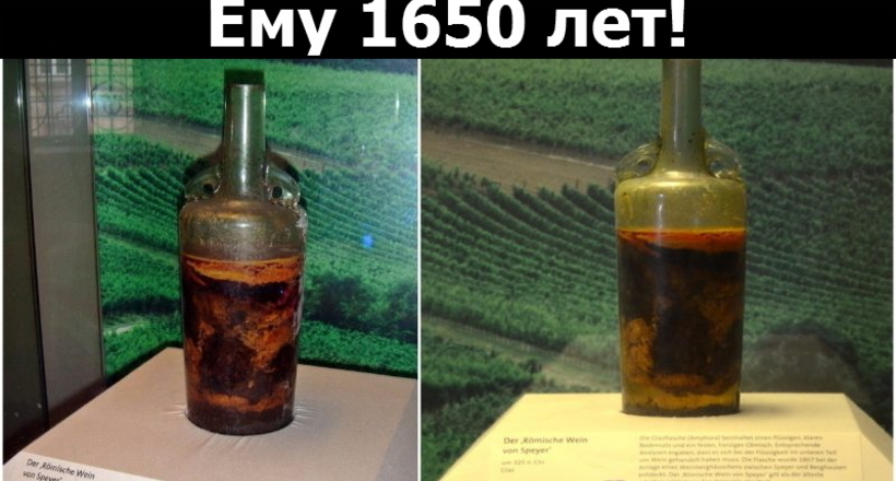 Відео: Відкриття самої старої пляшки вина, якої 1650 років
