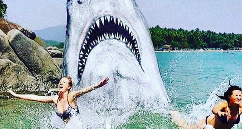 Художник перетворив камінь на пляжі в білу акулу, подарувавши людям незабутні емоції
