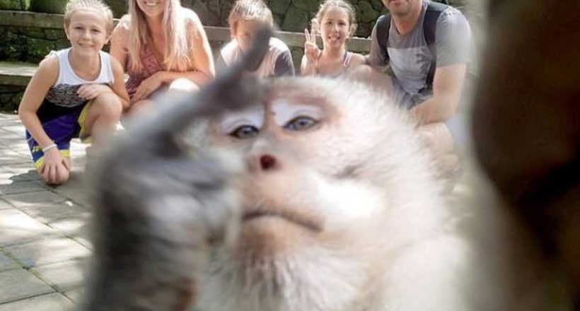 Мавпа зіпсувала селфи туристам, показав непристойний жест прямо в кадр