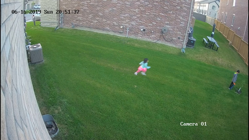 Відео: Койот напав на маленьку дівчинку прямо у дворі будинку