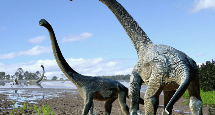 Де розташована найдовша стежка динозаврів