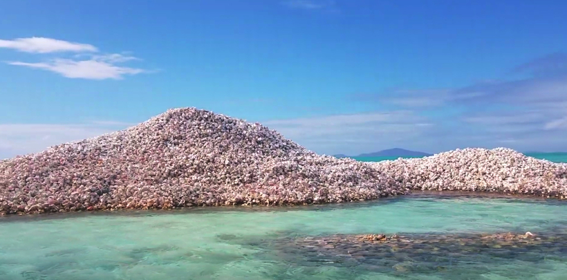 Острів, що складається з мільйонів черепашок, які рибалки викидали в море сторіччями