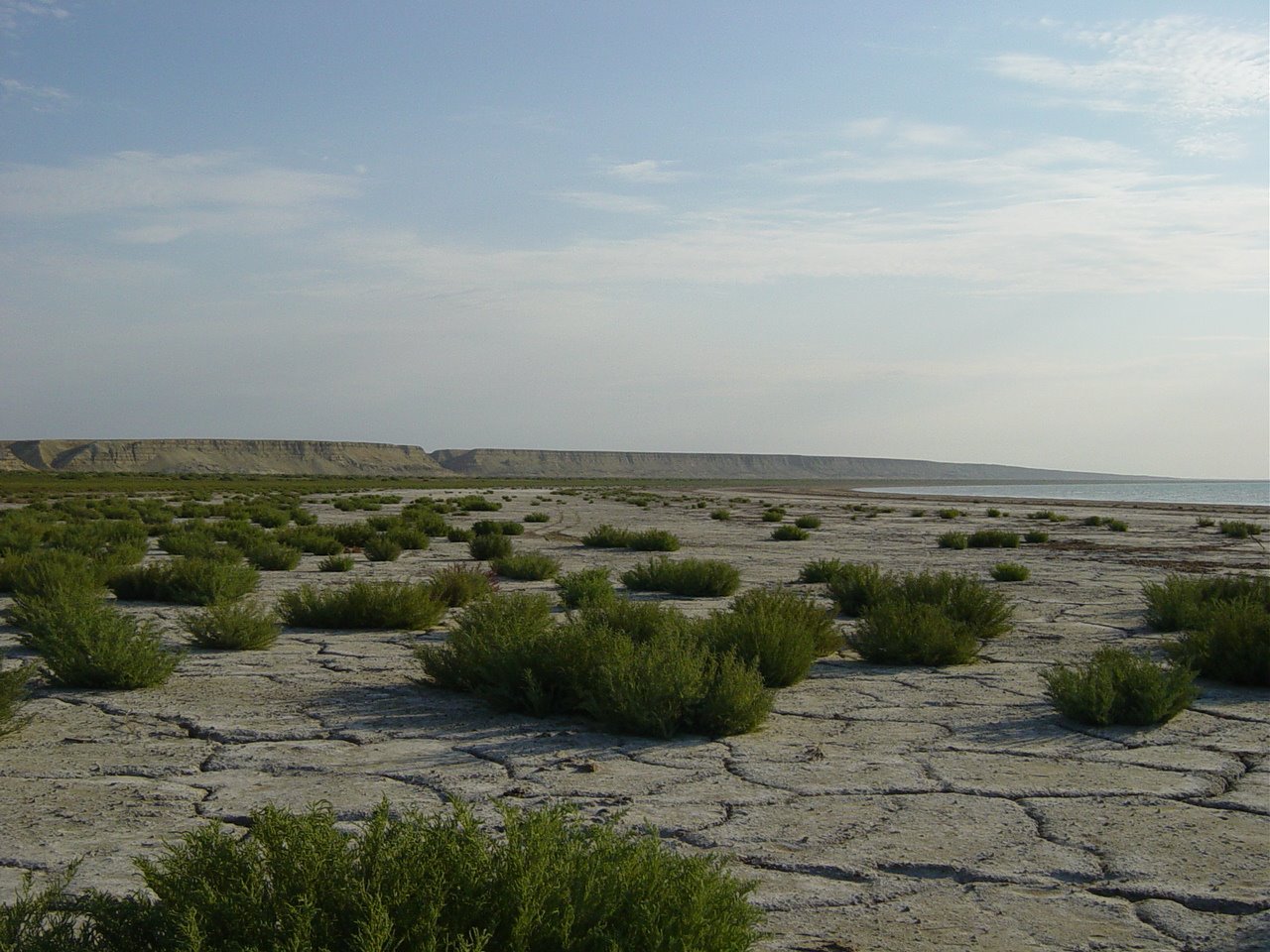Блог - Пересихання Аральського моря. Одна з жахливих екологічних катастроф сучасності! Пересихання Аральського моря. Одна з жахливих екологічних катастроф сучасності!
