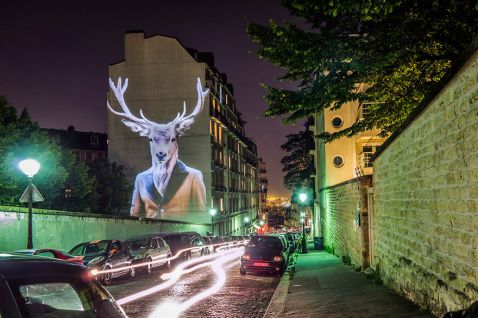 Стильні тварини прикрасили будівлі у Парижі