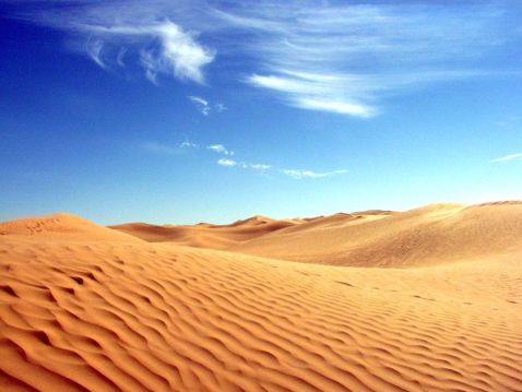 5 небезпечних хижаків, яких можна зустріти в пустелі