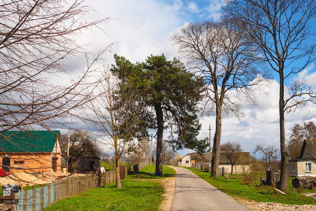 Блог - Мінськ. Замки, лебеді, поранені лелеки і відлуння війни... Мінськ. Замки, лебеді, поранені лелеки і відлуння війни...