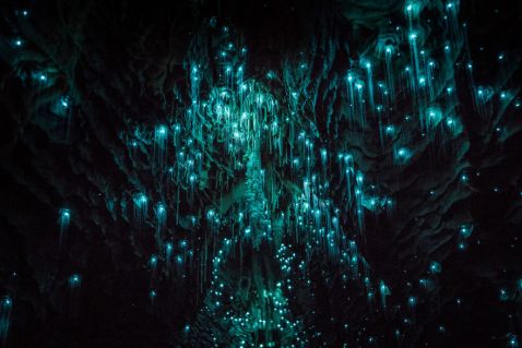 Британець зробив приголомшливі фото самої казкової печери в світі