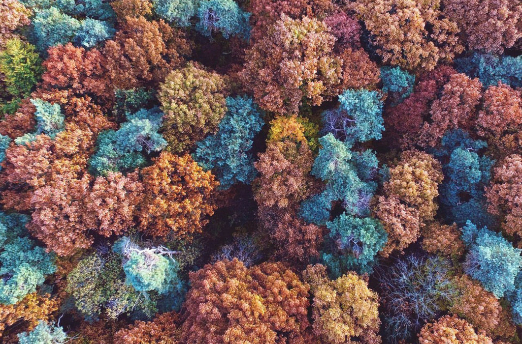 Блог - 19 найкрасивіших фотографій нашої планети з висоти пташиного польоту 19 найкрасивіших фотографій нашої планети з висоти пташиного польоту