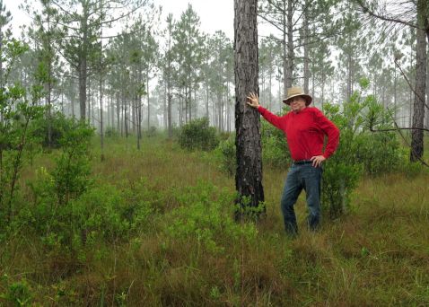 МС Девіс — людина, який висадив 8 мільйонів дерев у Флориді, США