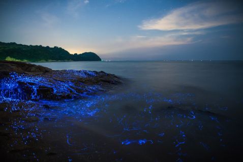 Чарівне світіння біля берегів Японії