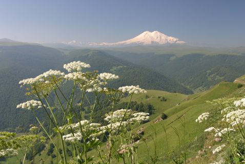 Найвища гора Європи