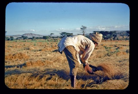 30 старих цікавих знімків про життя в Ефіопії в 1940-е
