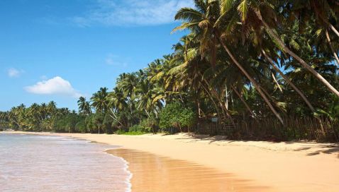 Coral Travel запустив зимові рейси на Шрі-Ланку
