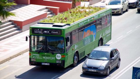У Мадриді даху автобусів і зупинок прикрасять садами