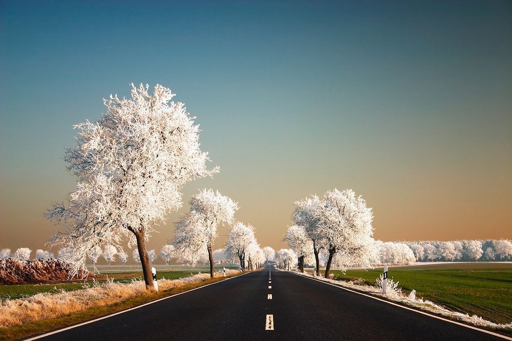 Блог - 15 дивовижних фото, які доводять, що природа вміє фотошопити 15 дивовижних фото, які доводять, що природа вміє фотошопити