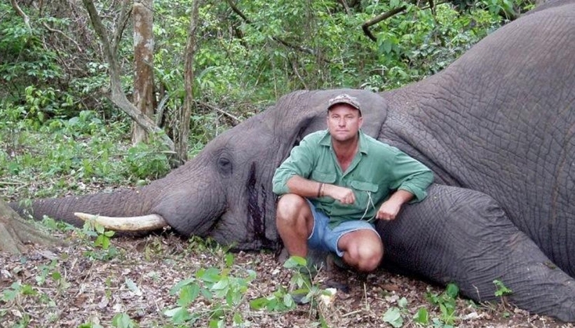 В Африці підстрелений під час полювання слон убив мисливця, впавши на нього 