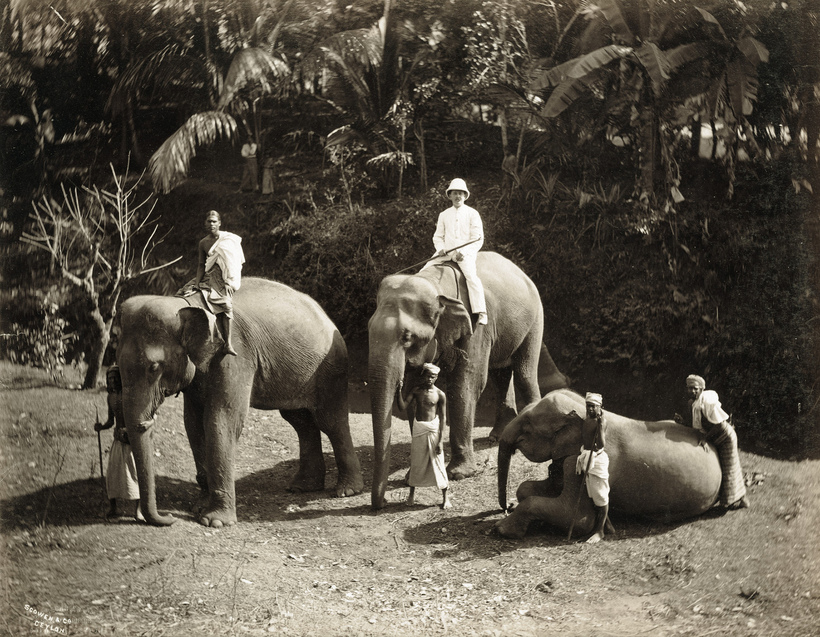 17 рідкісних фотографій повсякденного життя Шрі-Ланки в 1880-х роках