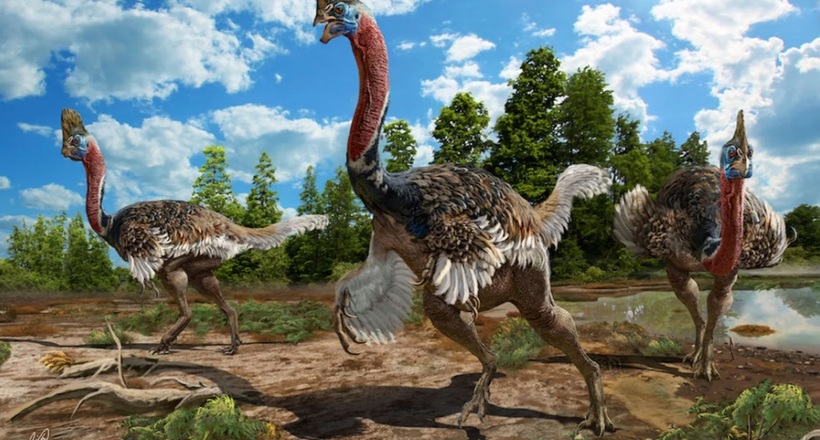 У Китаї знайшли останки динозавра, схожого на гібрид індички зі страусом