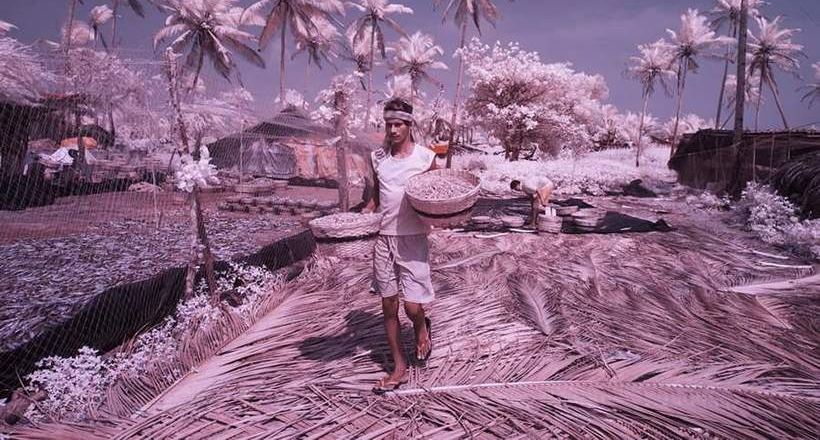 16 інфрачервоних знімків про те, як виглядає Гоа в міжсезоння