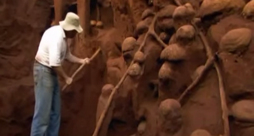 Вчені розкопали величезний підземний місто мурашок