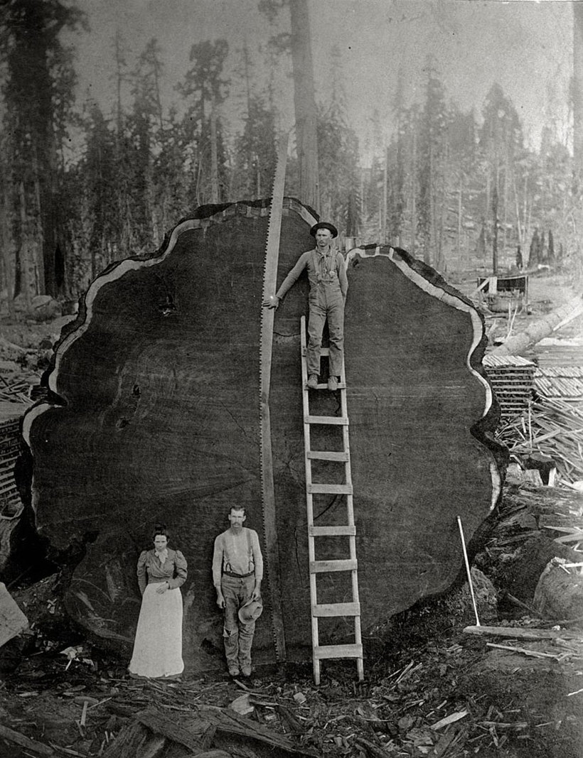 Фантастичні фотографії National Geographic, які раніше не були опубліковані