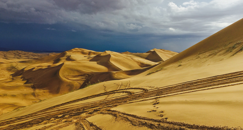 Як китайці перетворюють пустелі в родючі землі