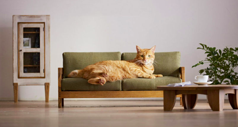 У Японії придумали мініатюрну меблі для кішок