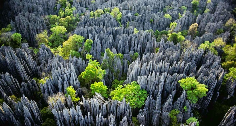 Загадка виникнення кам'яного лісу на Мадагаскарі