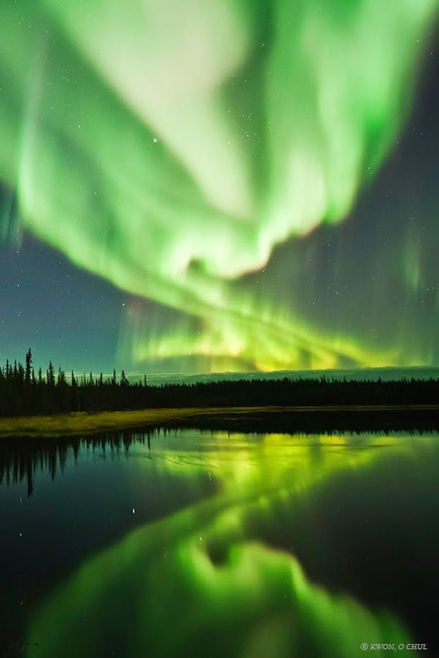 Сліпучий танець Аврора Бореаліс в нічному небі Канади