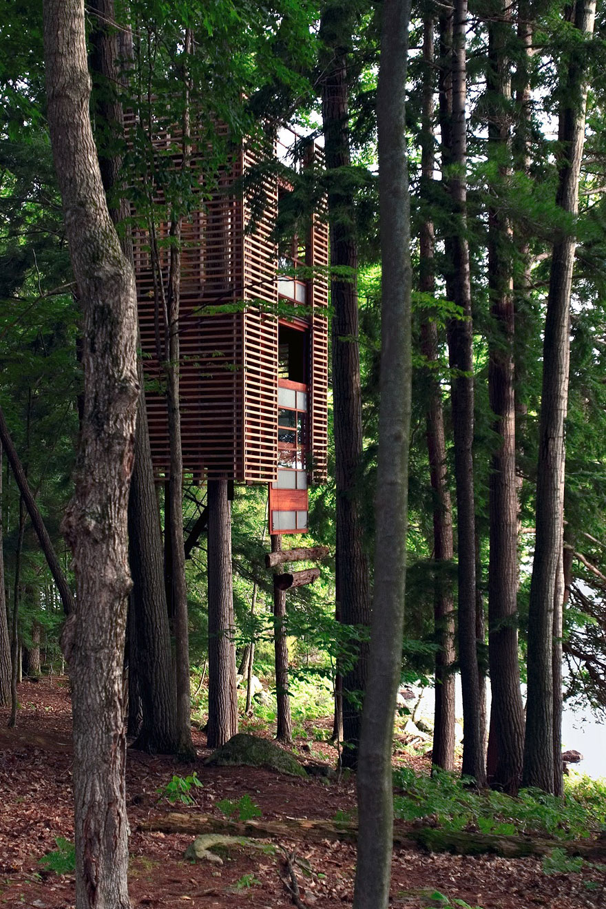 20 легендарних будинків на деревах зі всього світу (частина 2)
