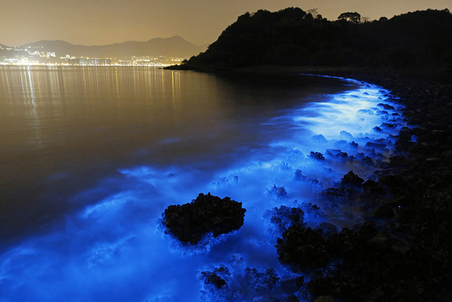 Фантастичне сяйво біолюмінесцентного планктону у водах біля берегів Гонконгу