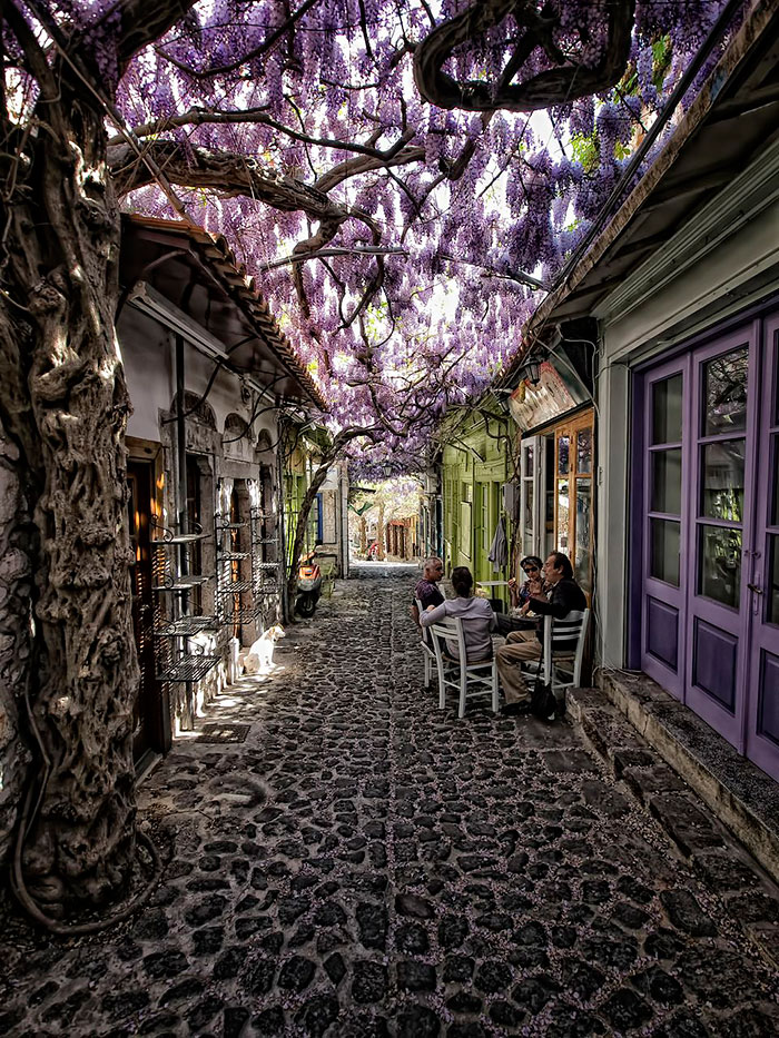15 найчарівніших вулиць світу, які сховалися в тіні квітів і дерев