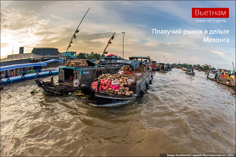 Плавучий ринок в дельті Меконгу