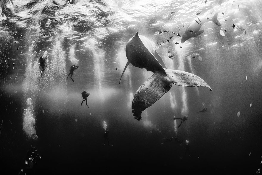 Феноменальні знімки переможців фотоконкурсу National Geographic Traveler