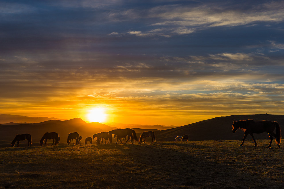 Чому поїздка в Монголію — це найгірше, що могло прийти вам в голову