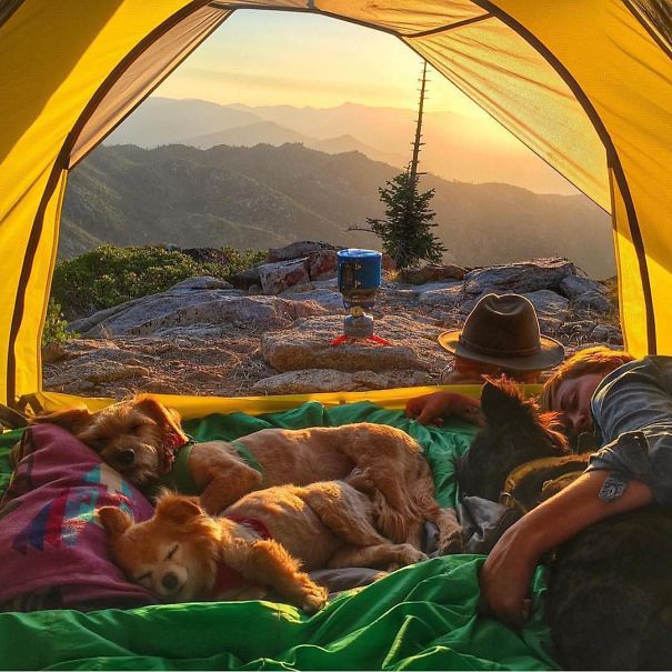20 дивовижних фотографій Instagram, які надихнуть вас вирушити у похід зі своєю собакою