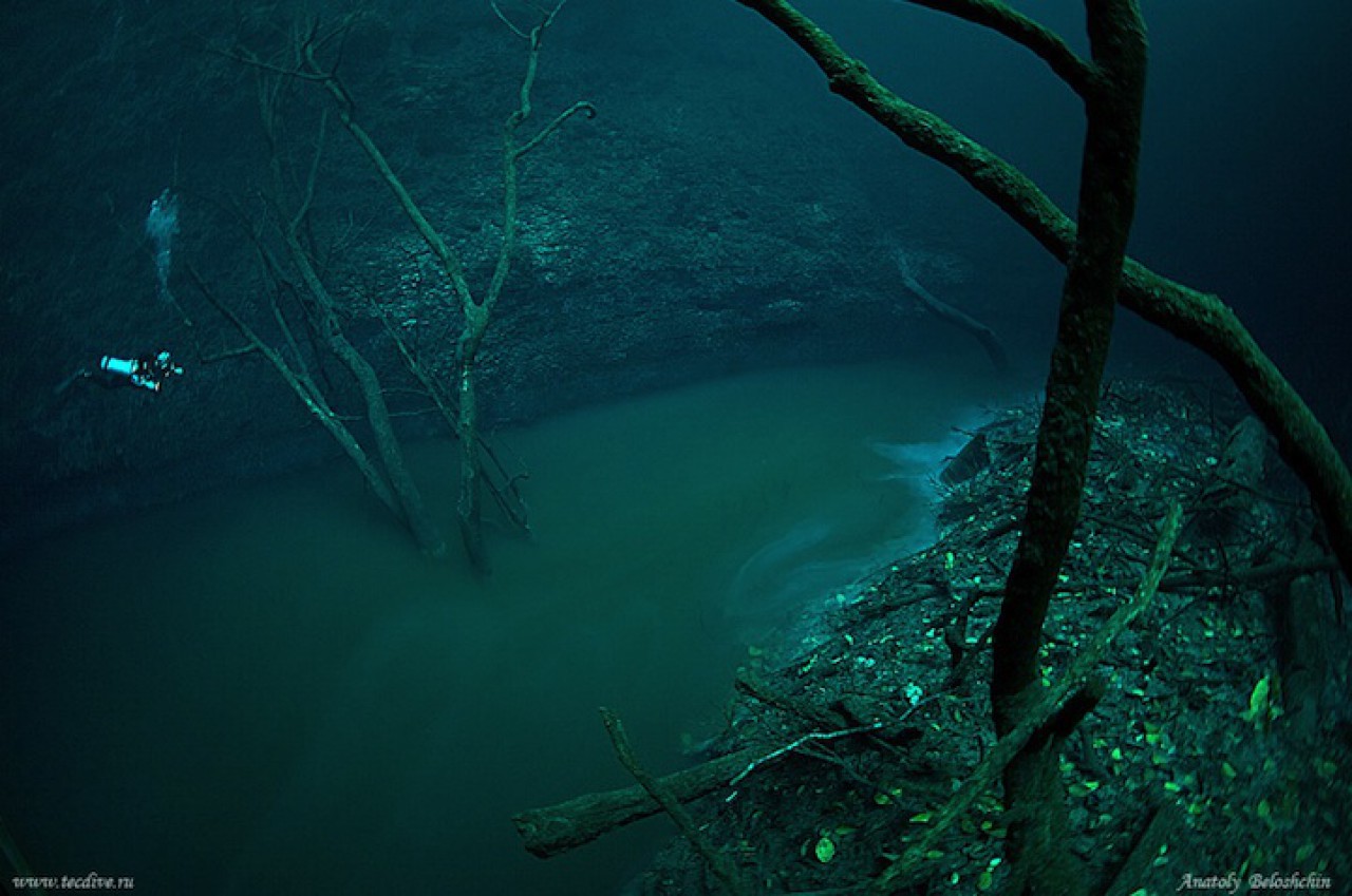 Дайвер виявив річку... під водою. В таке явище складно повірити!