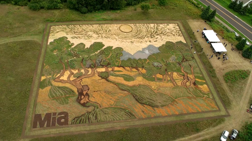 Ти не повіриш, коли дізнаєшся, з чого зроблена ця картина Ван Гога «Оливкові дерева»