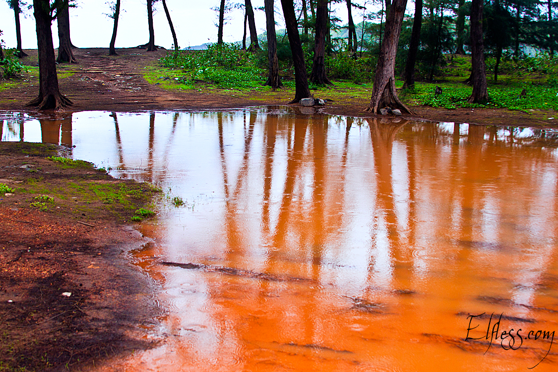 Сезон дощів в штаті Гоа, як це буває. Наша фоторозповідь