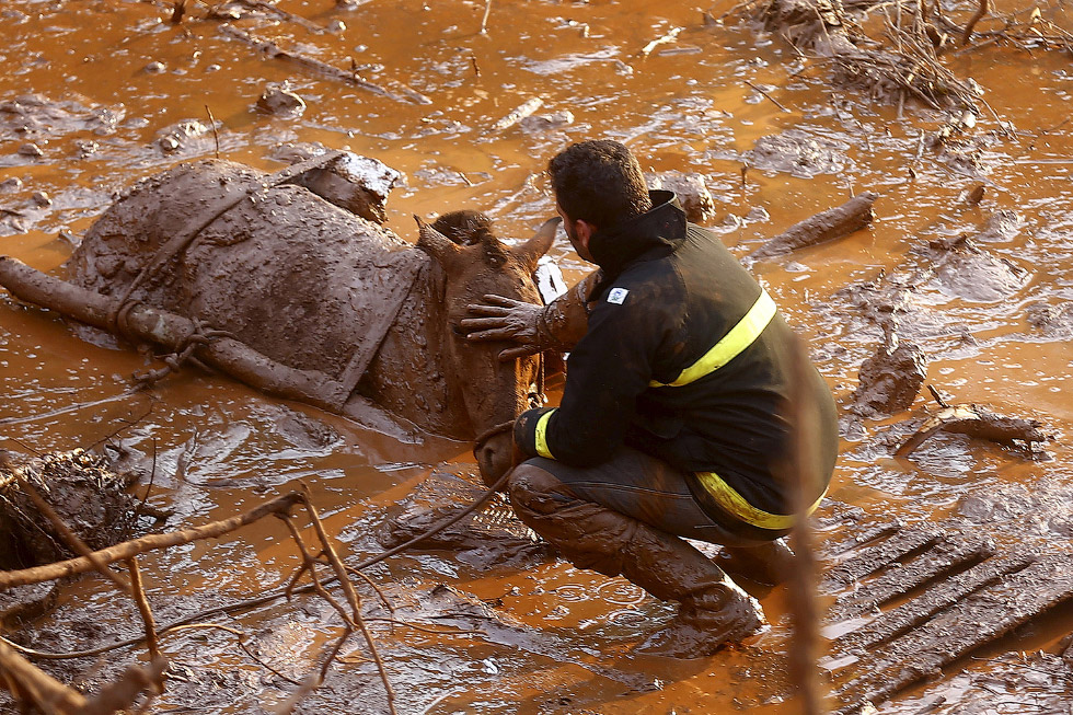 Техногенна катастрофа: токсична бруд в Бразилії