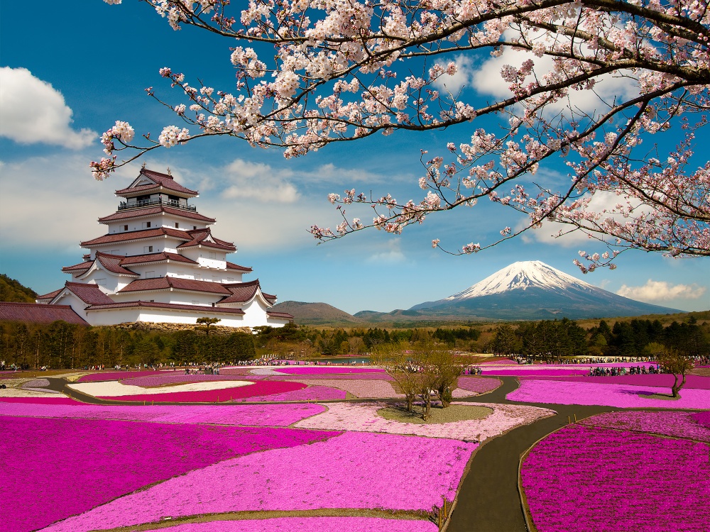 12 чарівних знімків цвітіння сакури