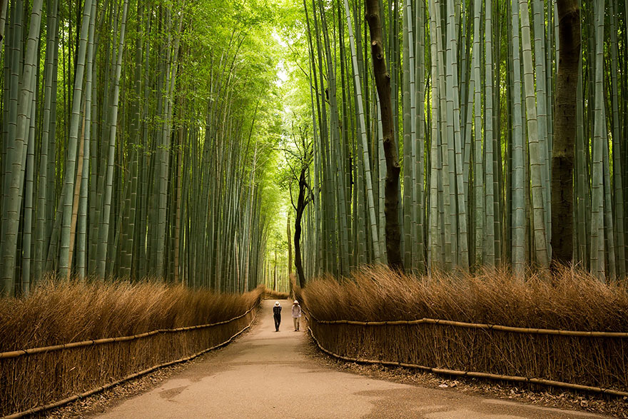 15 прекрасних причин поїхати до Японії