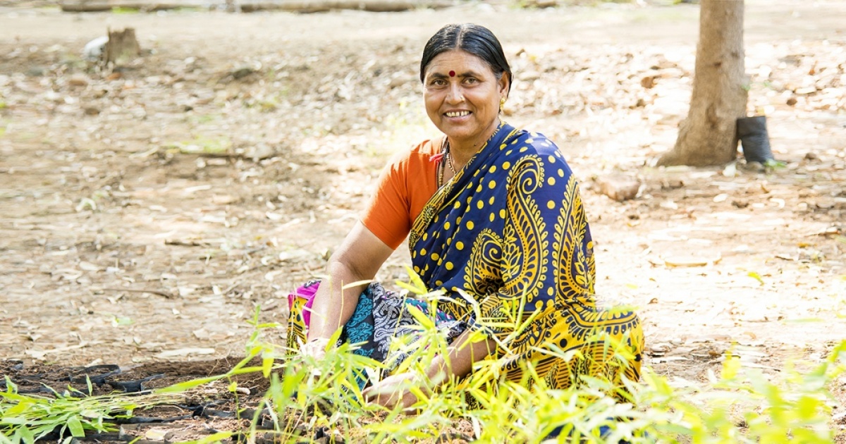 Жителі Індії посадили 50 мільйонів дерев всього за одну добу!